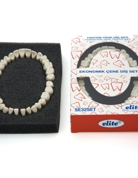 Fuji Elite Ekonomik Fantom Diş Seti Fuji Elite Ekonomik Fantom Diş Seti