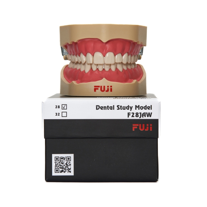 Fuji Fantom Çene 28 Dişlik Fuji Fantom Çene 28 Dişlik